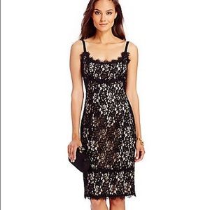 DVF OLIVIA LACE DRESS